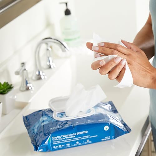 McKesson StayDry Disposable Wipe 6 Pack, 600 Washcloths - Large Adult Body and Incontinence Washcloths with Aloe and Vitamin E, Alcohol-Free, 100 Wipes Per Pack