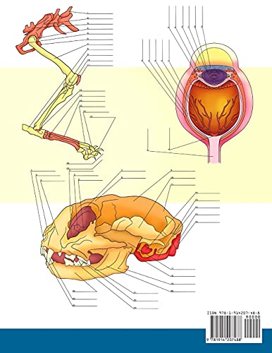 Cat Anatomy Coloring Book: Incredibly Detailed Self-Test Feline Anatomy Color workbook | Perfect Gift for Veterinary Students, Cat Lovers & Adults