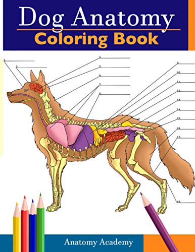 Dog Anatomy Coloring Book: Incredibly Detailed Self-Test Canine Anatomy Color workbook | Perfect Gift for Veterinary Students, Dog Lovers & Adults