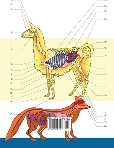 Veterinary & Zoology Coloring Book: 2-in-1 Compilation | Incredibly Detailed Self-Test Animal Anatomy Color workbook | Perfect Gift for Vet Students and Animal Lovers