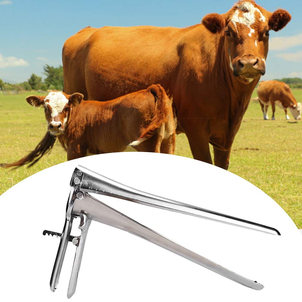 Cow Cattle Dilator Speculum Livestock Opener Veterinary Instrument Cattle Vaginal Dilator