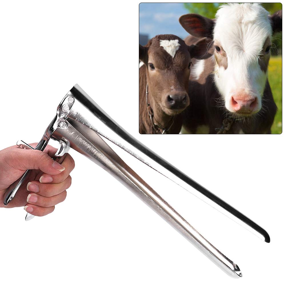 Cow Cattle Dilator Speculum Livestock Opener Veterinary Instrument Cattle Vaginal Dilator