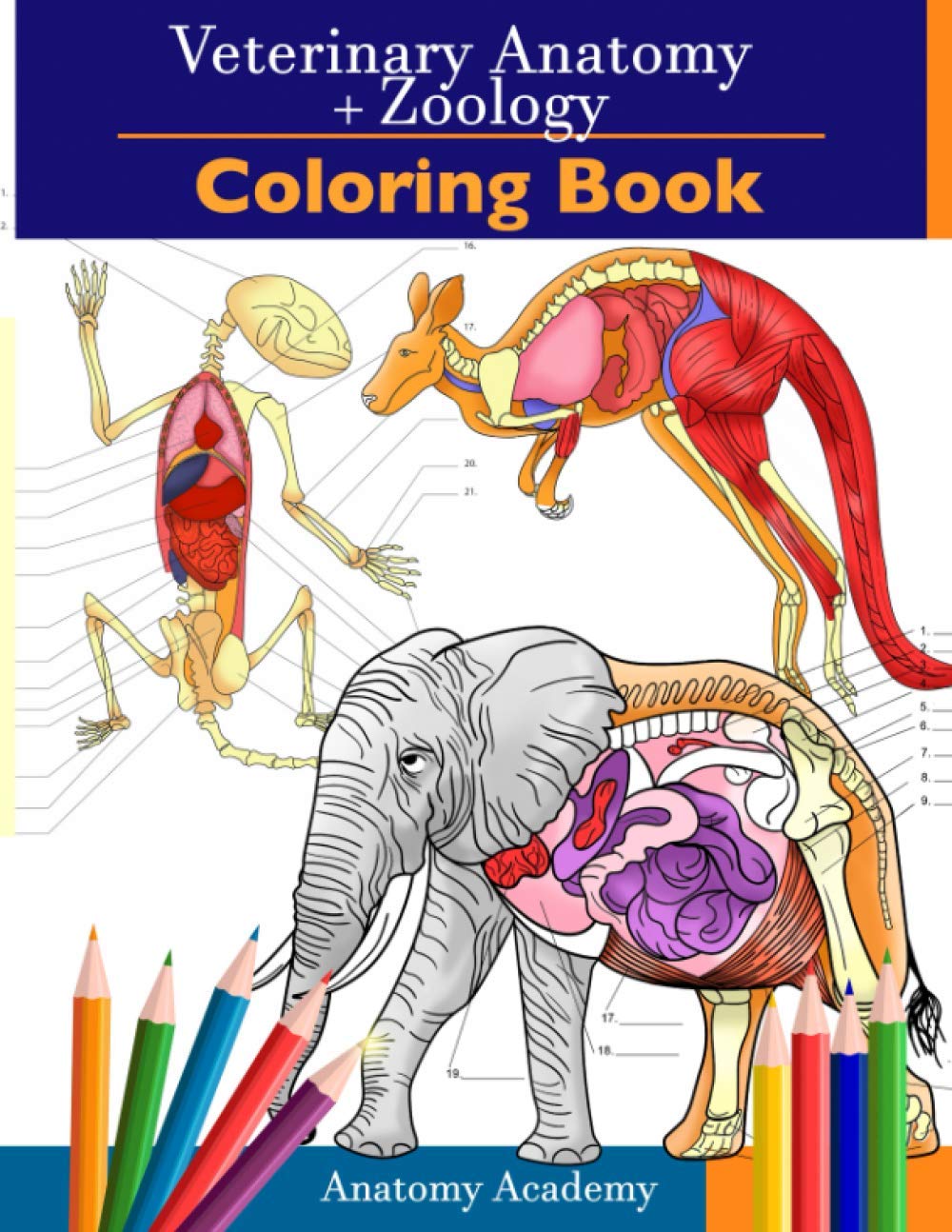 Veterinary & Zoology Coloring Book: 2-in-1 Compilation | Incredibly Detailed Self-Test Animal Anatomy Color workbook | Perfect Gift for Vet Students and Animal Lovers