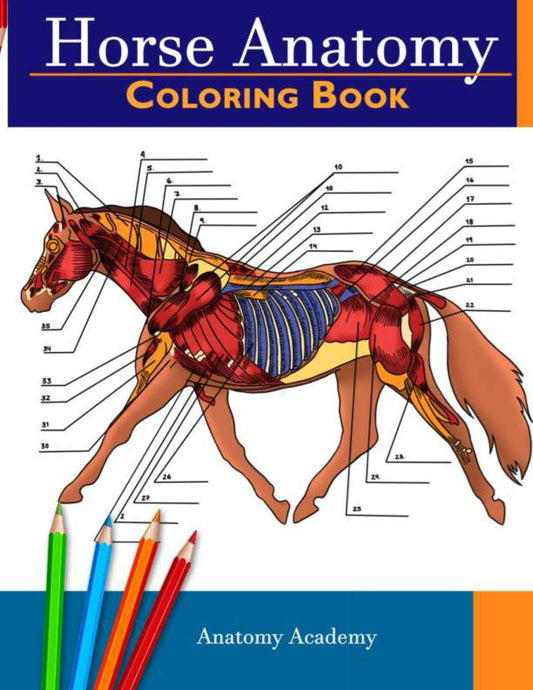 Horse Anatomy Coloring Book: Incredibly Detailed Self-Test Equine Anatomy Color workbook | Perfect Gift for Veterinary Students, Horse Lovers & Adults