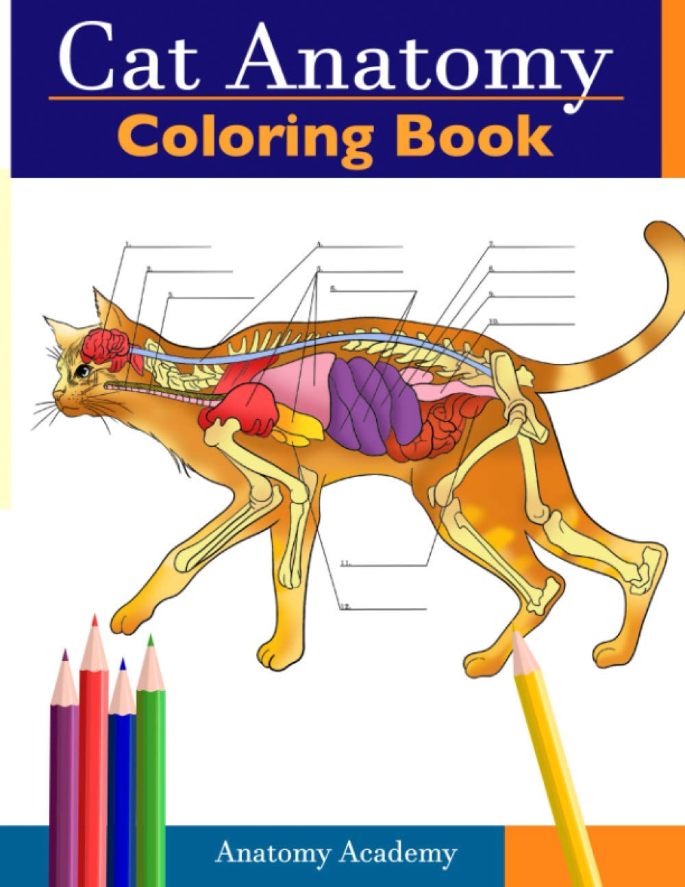 Cat Anatomy Coloring Book: Incredibly Detailed Self-Test Feline Anatomy Color workbook | Perfect Gift for Veterinary Students, Cat Lovers & Adults